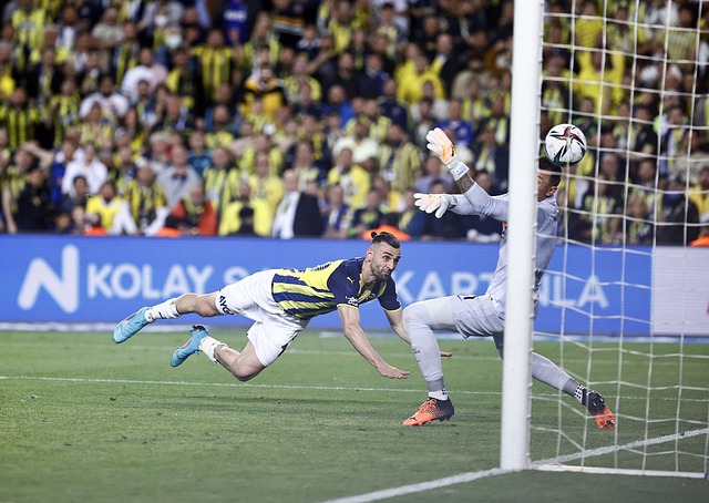 供了丰富的 供了丰富的